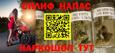 сатива Кунгур
