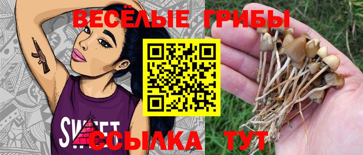 Псилоцибиновые грибы мухоморы  Вход с VPN  Воскресенск 