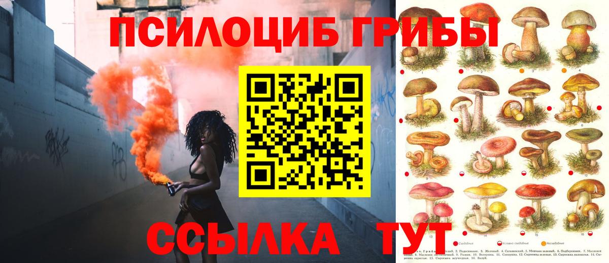 Галлюциногенные грибы Cubensis Воскресенск